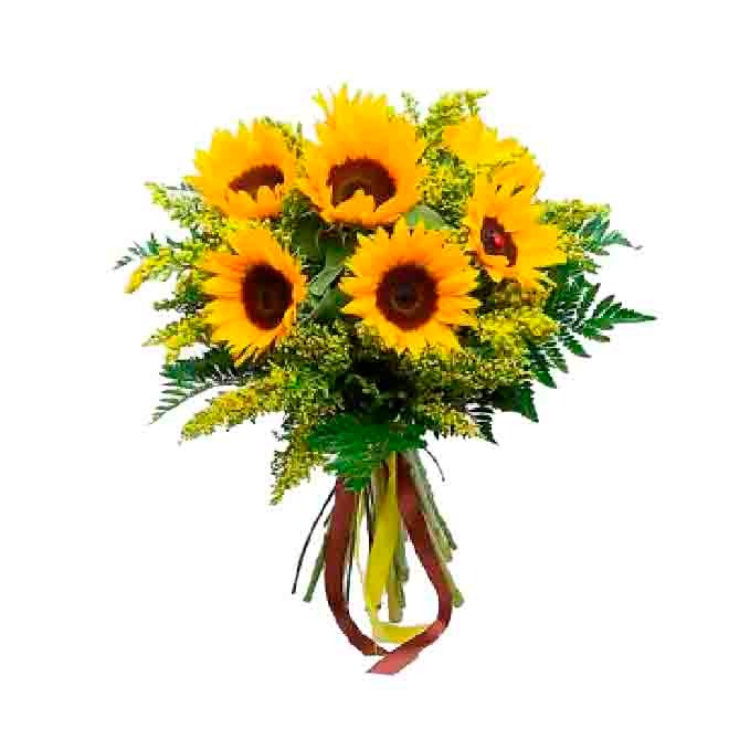 Combo rosa girasoles